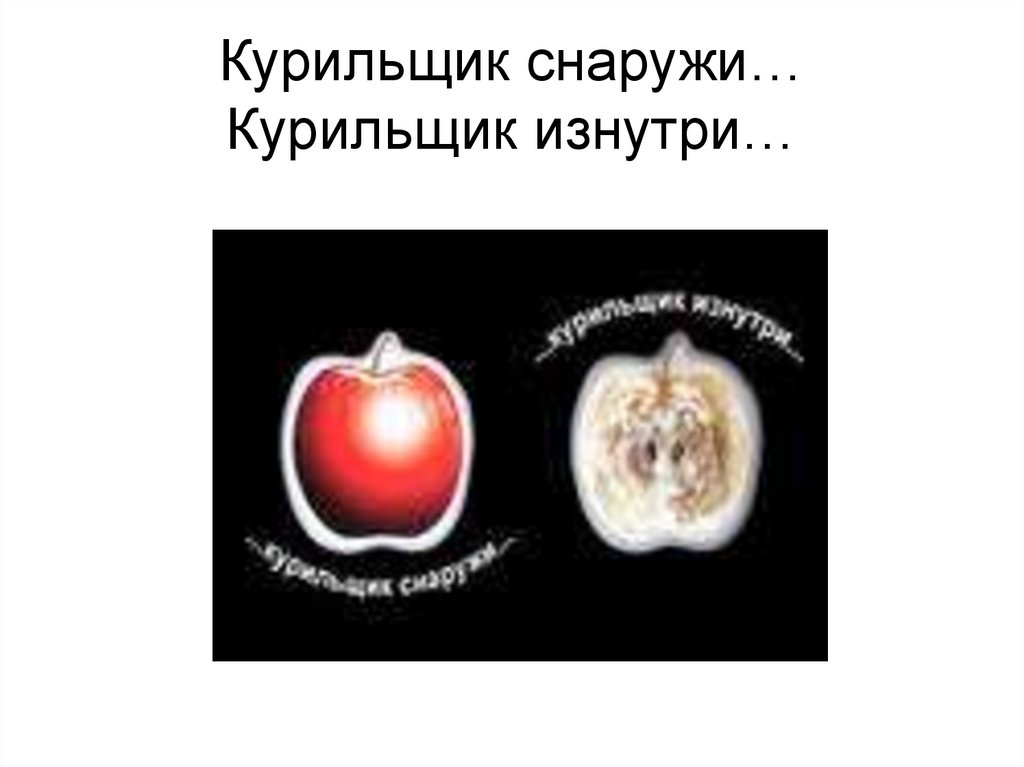 Курильщик снаружи… Курильщик изнутри…