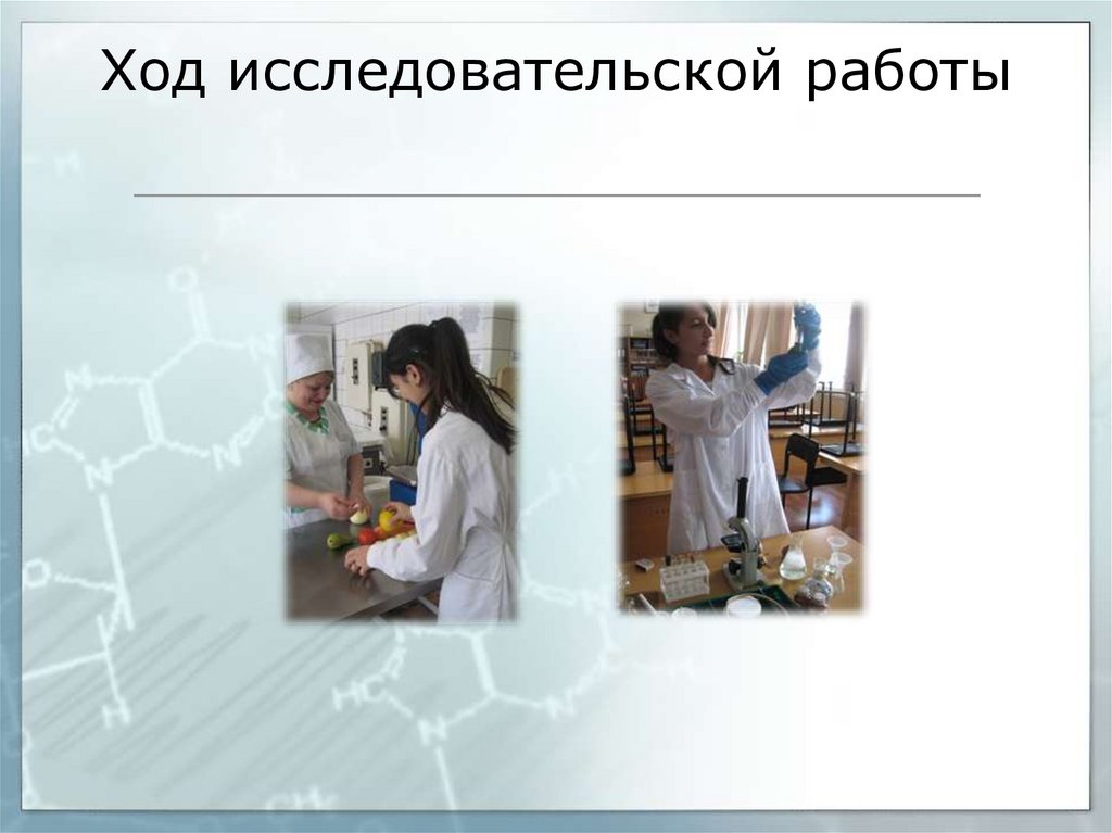 Ход исследовательской работы