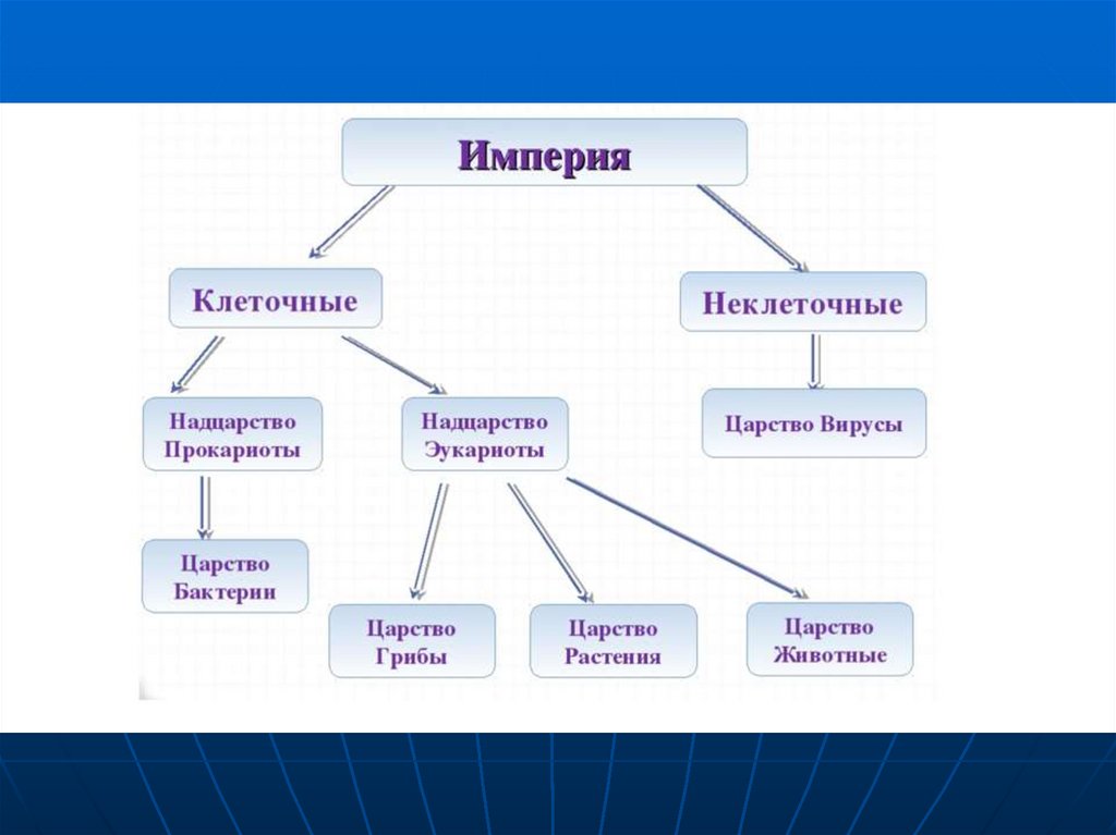 Какие формы жизни