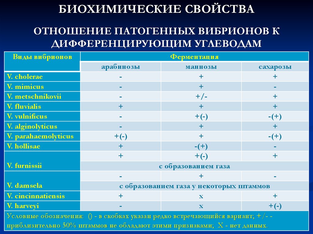 Характеристика биохимических