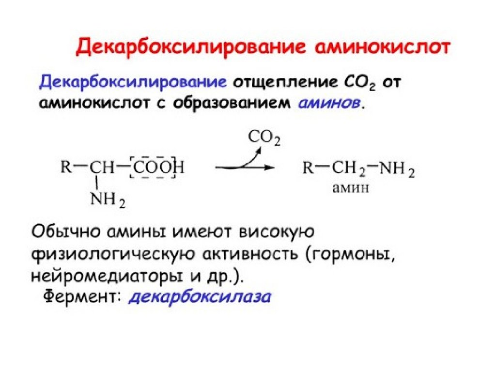 Аминокислоты это ферменты. Декарбоксилирование аминокислот общий вид реакции. Декарбоксилирование аминокислот в6. Схемы реакций декарбоксилирования аминокислот. Декарбоксилирование треонина реакция.