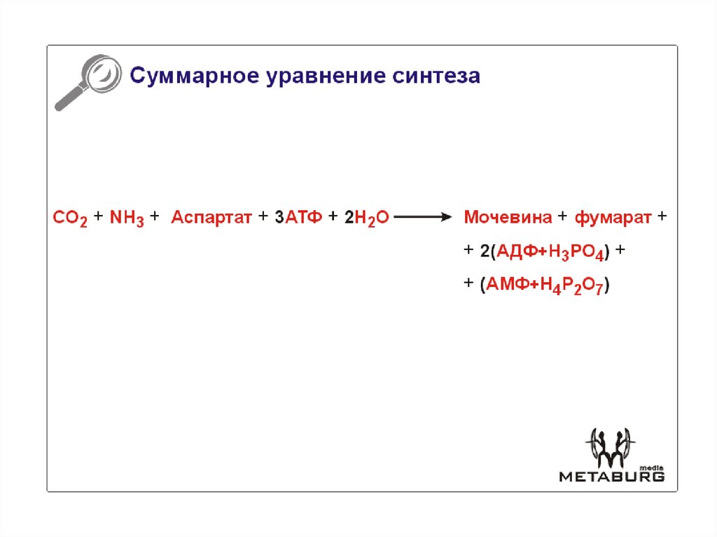 Синтез заменимых аминокислот. Суммарное уравнение синтеза мочевины. Синтез мочевины презентация. Синтез Аминов.