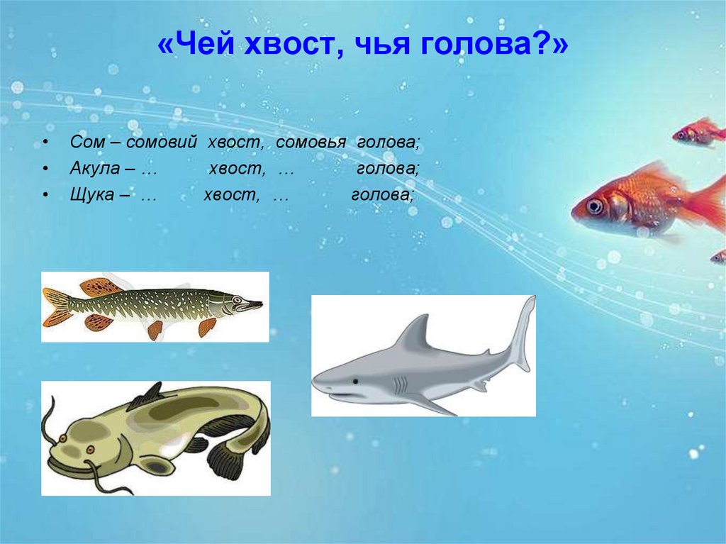 Рыбы презентация для детей. Рыбы для дошкольников. Презентация рыбы для дошкольников. Тема рыбы. Тема рыбы для дошкольников.