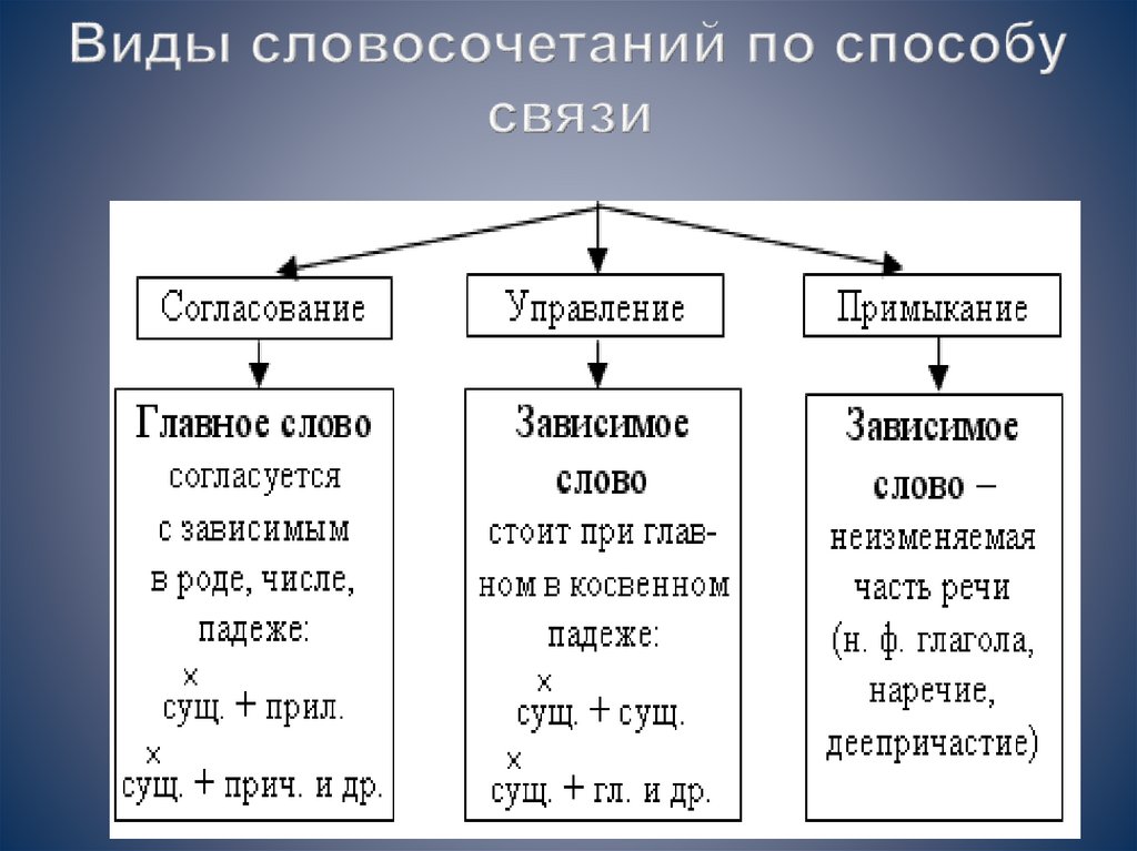 Типы словосочетаний. Типы связи в словосочетаниях. Русский язык 5 класс виды словосочетаний