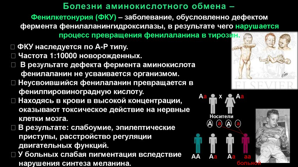 Буклет наследственные заболевания. Наследственные болезни человека картинки. Наследственные заболевания человека мозг. Наследственные заболевания примеры.