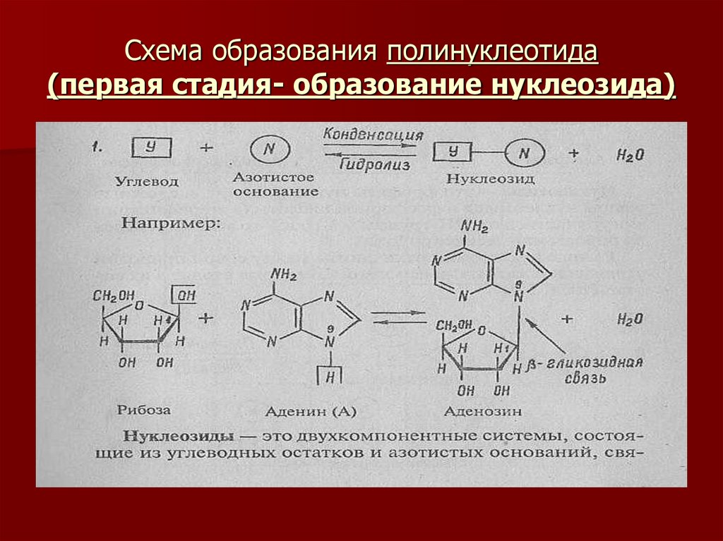 Схема образования