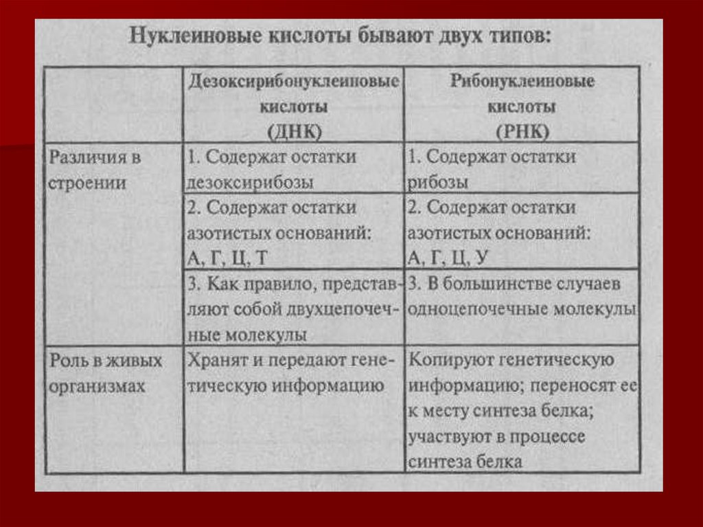 Нуклеиновые кислоты презентация по химии 10 класс профильный уровень