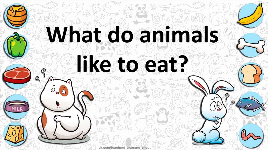 What do animals like to eat? - презентация онлайн