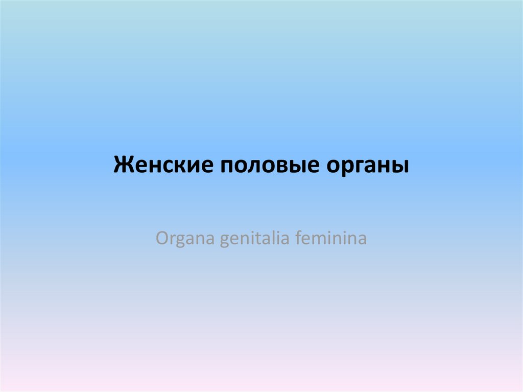 Женские половые органы ответ