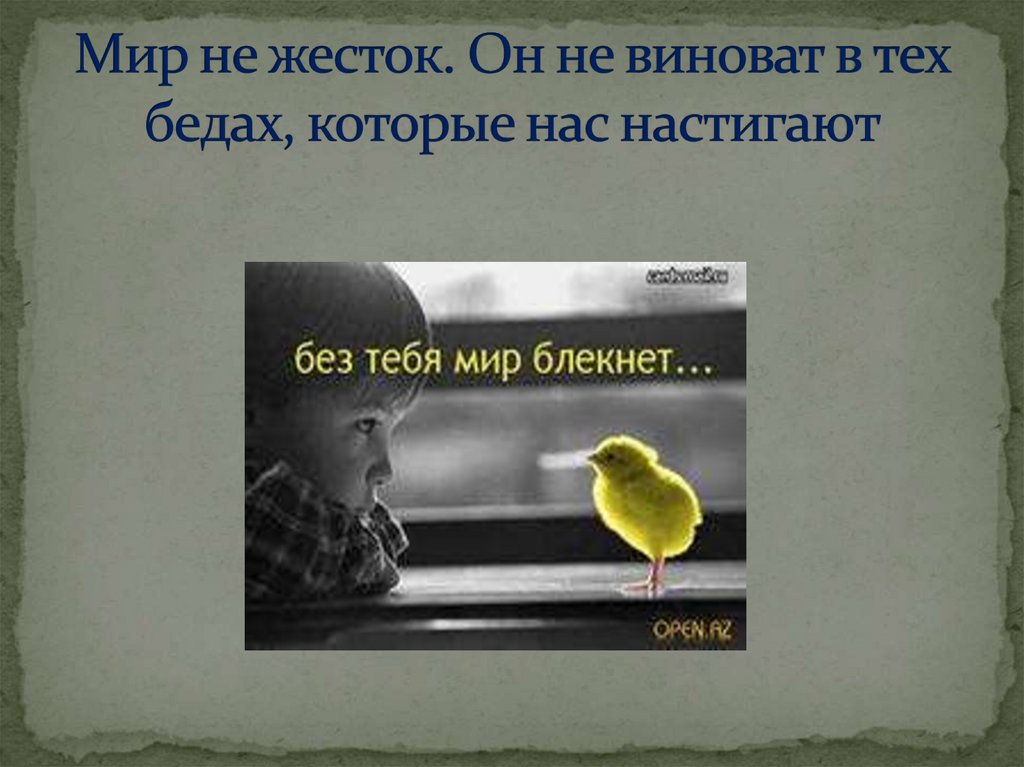 Мир не жесток. Он не виноват в тех бедах, которые нас настигают
