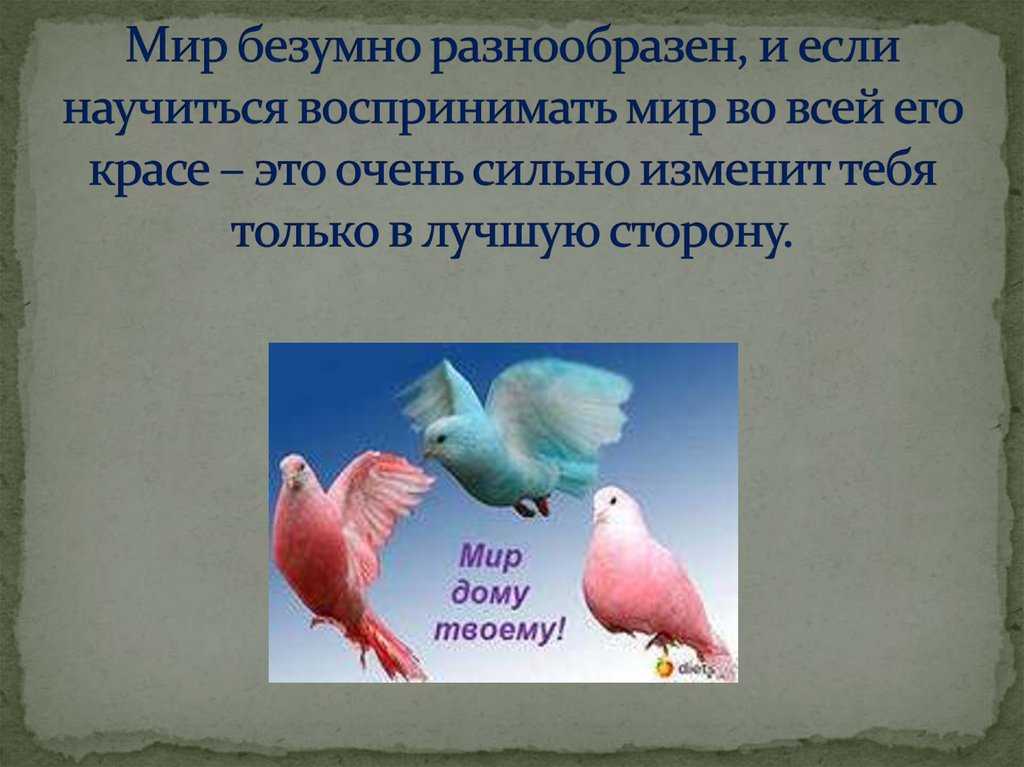 Мир безумно разнообразен, и если научиться воспринимать мир во всей его красе – это очень сильно изменит тебя только в лучшую