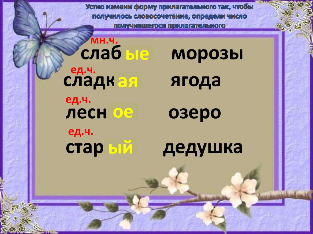 Скажи единственное число. Сладкая ягода число прилагательных.