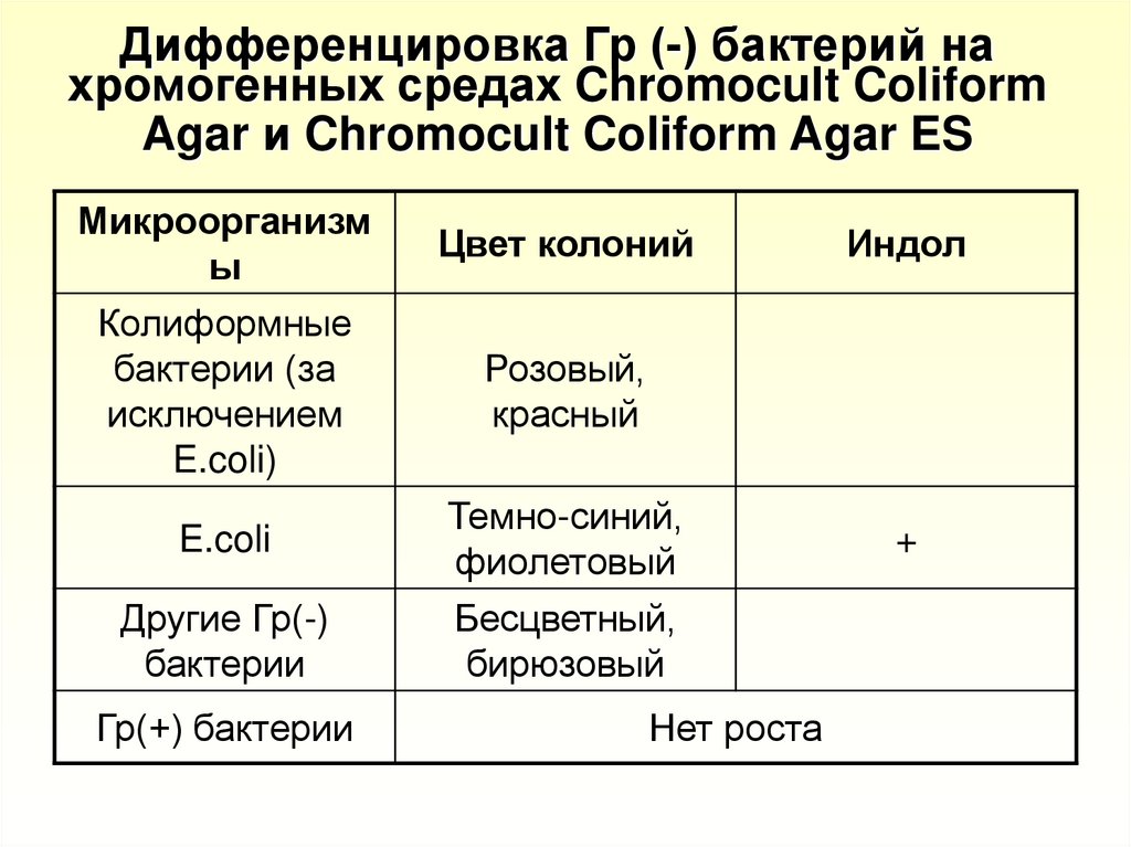 Общие колиформные бактерии в питьевой воде