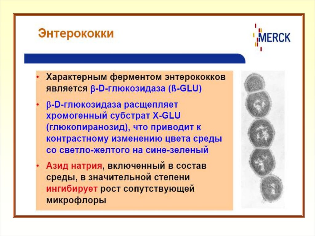 Проба раппопорта. Раппопорт Василиадис среда. Среда Раппопорта.