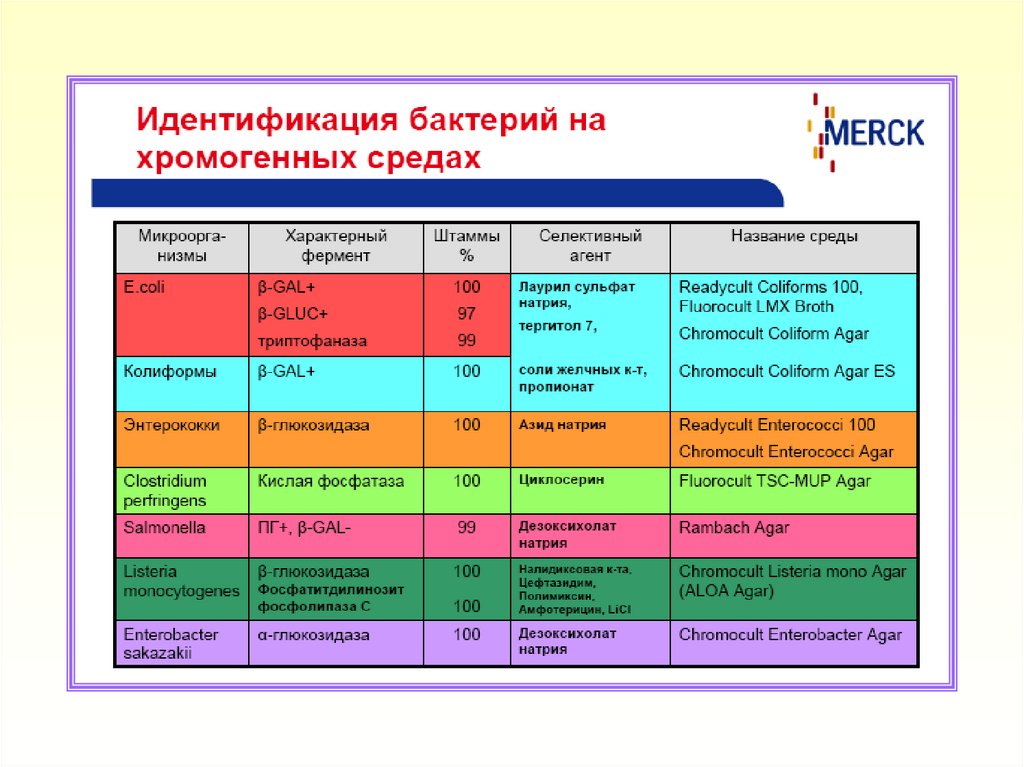 Среда раппопорта