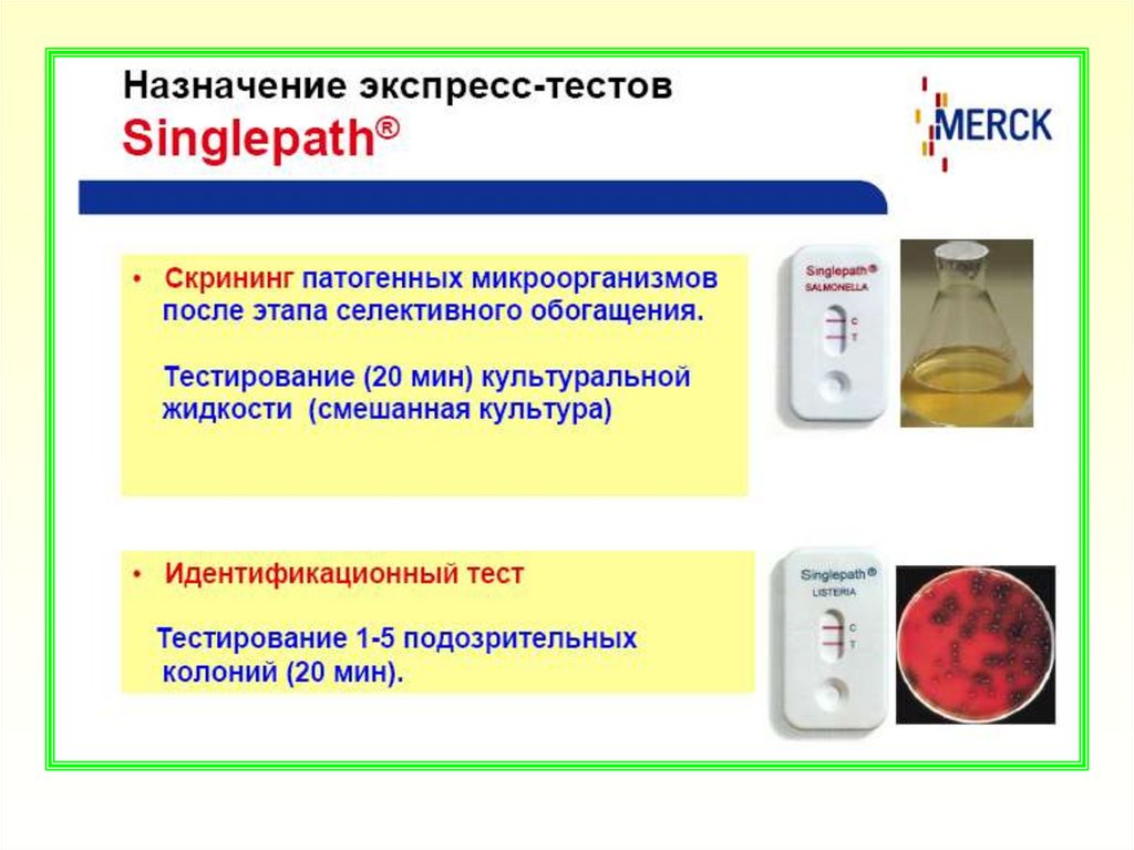 Микробиологическое исследование почвы