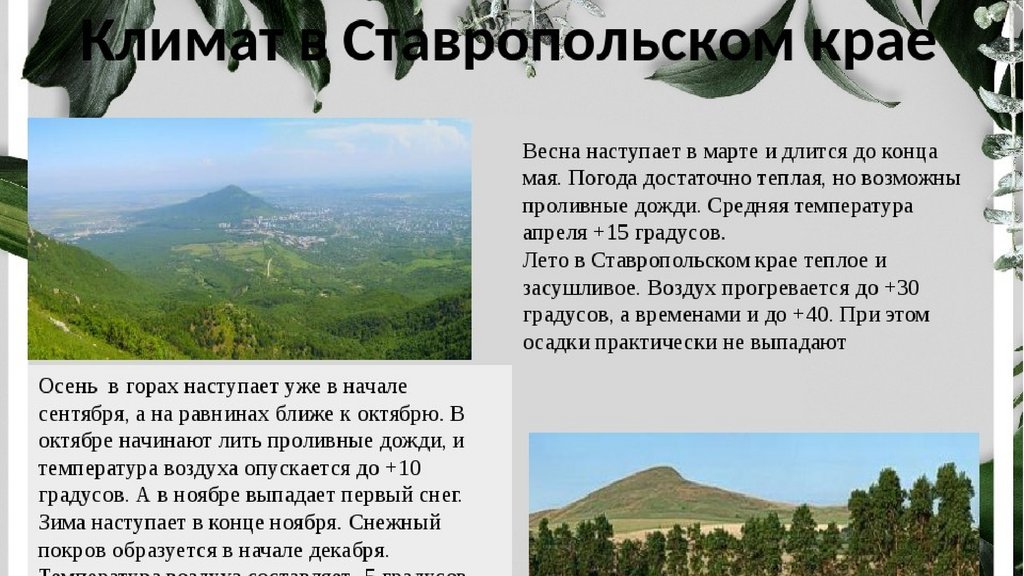 Природа ставропольского края 3 класс окружающий мир проект