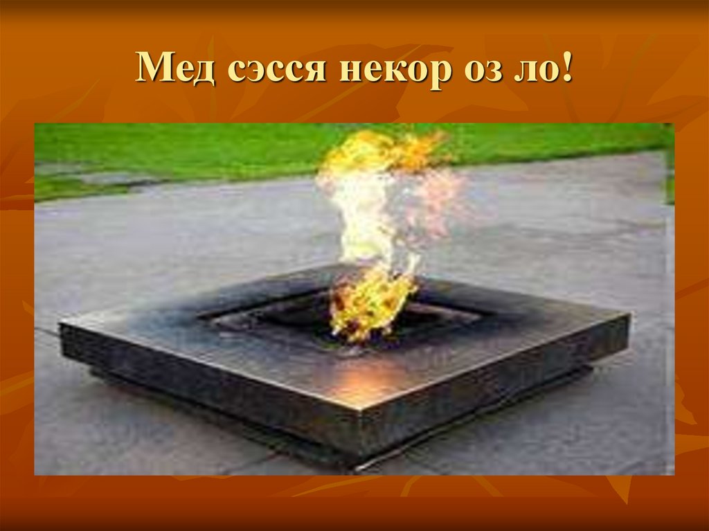 Мед сэсся некор оз ло!