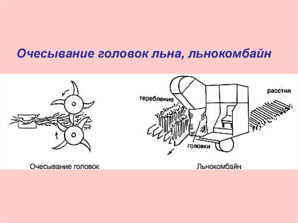 Очесывание головок льна, льнокомбайн