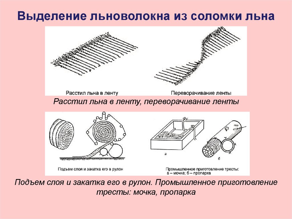 Волокна растительного происхождения, их получение и свойства ...