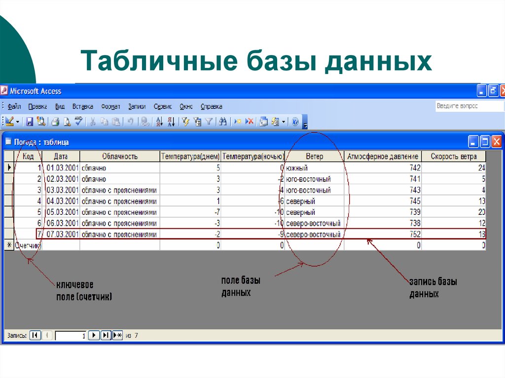 Презентации база данных