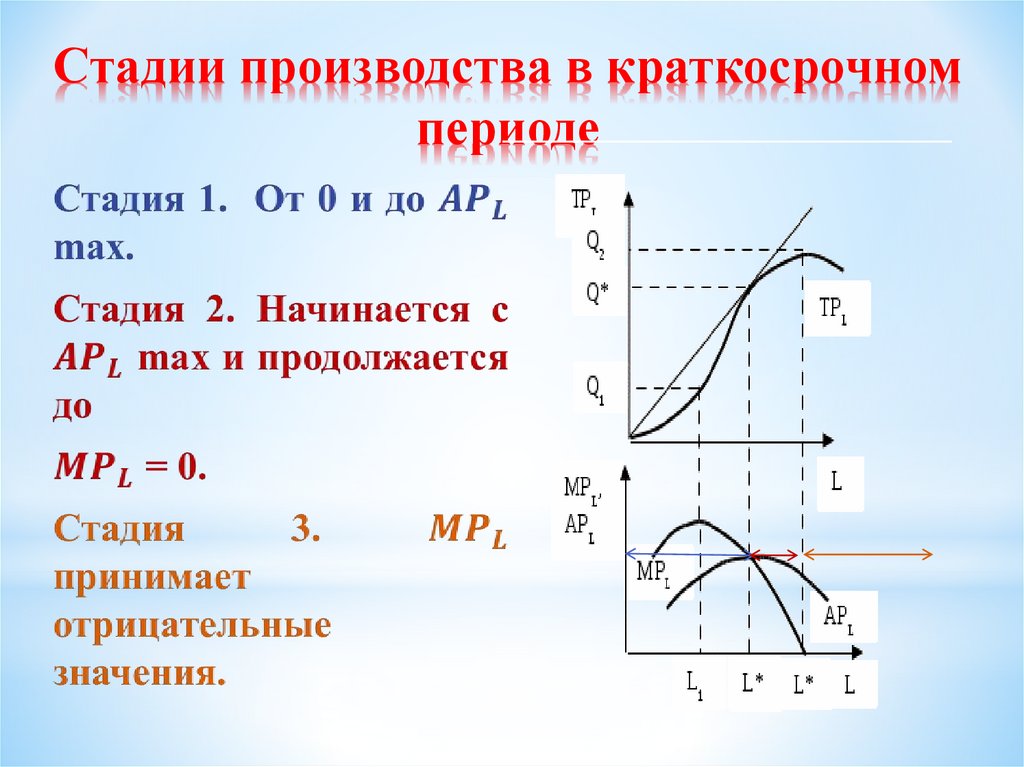 Стадии производства в краткосрочном периоде