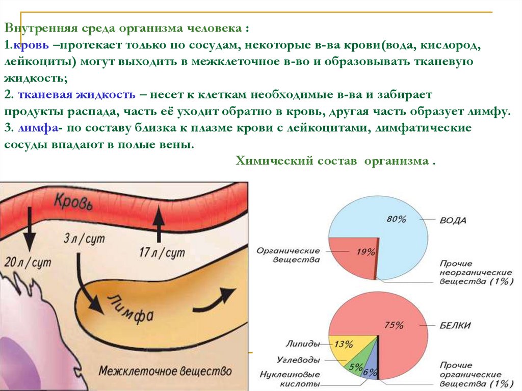 Рассмотрите схему внутренней среды организма выходящая из крови жидкость становится частью