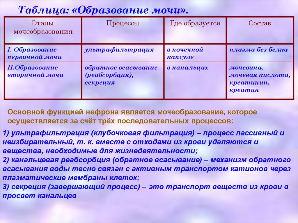 Образование таблица