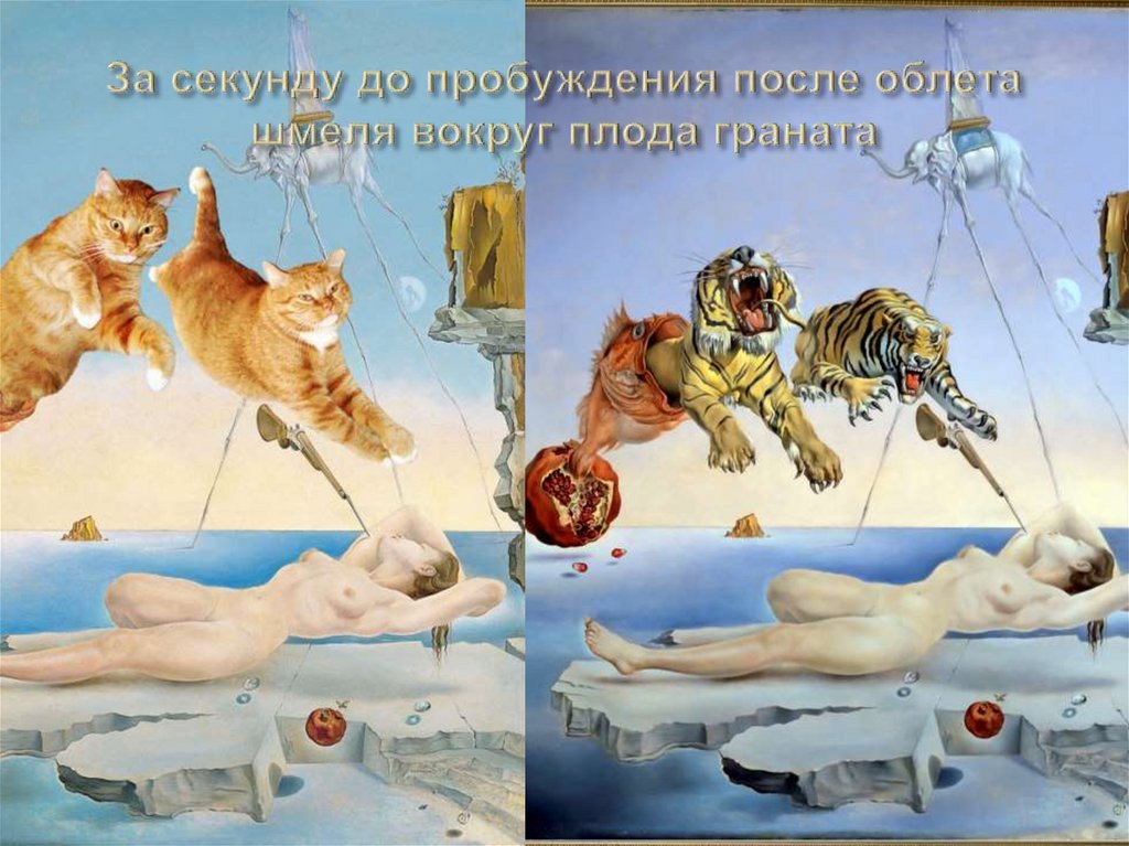 За секунду до пробуждения после облета шмеля вокруг плода граната