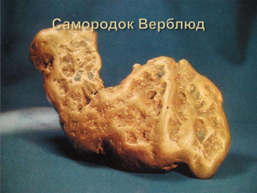 Самородок Верблюд