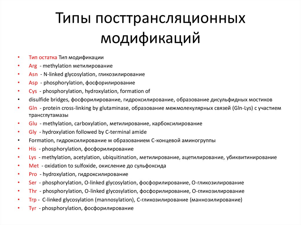 Установите последовательность этапов посттрансляционной модификации