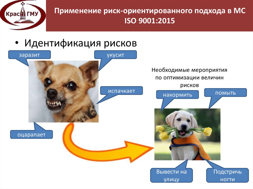 Риск ориентированный подход презентация