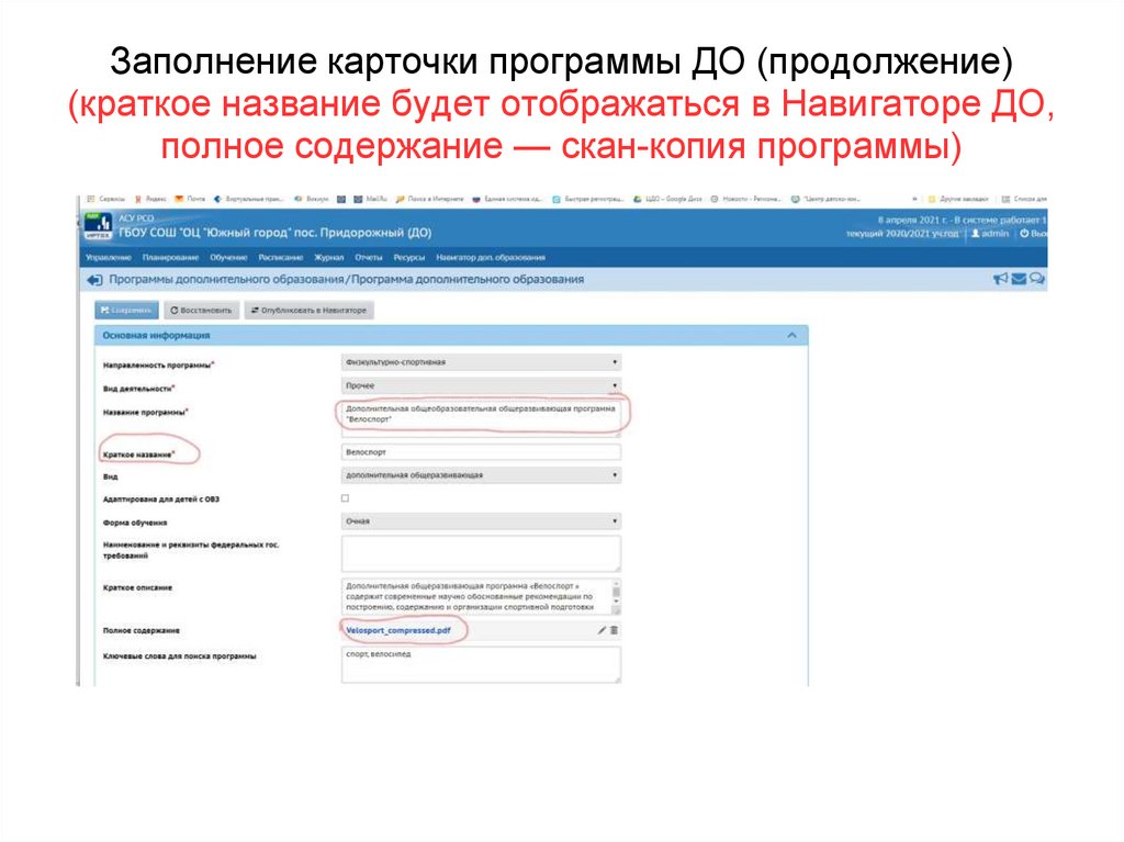 Заполнение карточки программы ДО (продолжение) (краткое название будет отображаться в Навигаторе ДО, полное содержание —