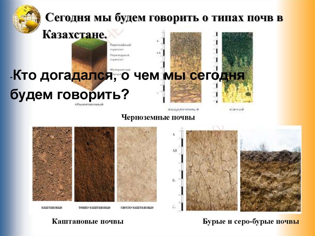 В чем состоит отличие почвы