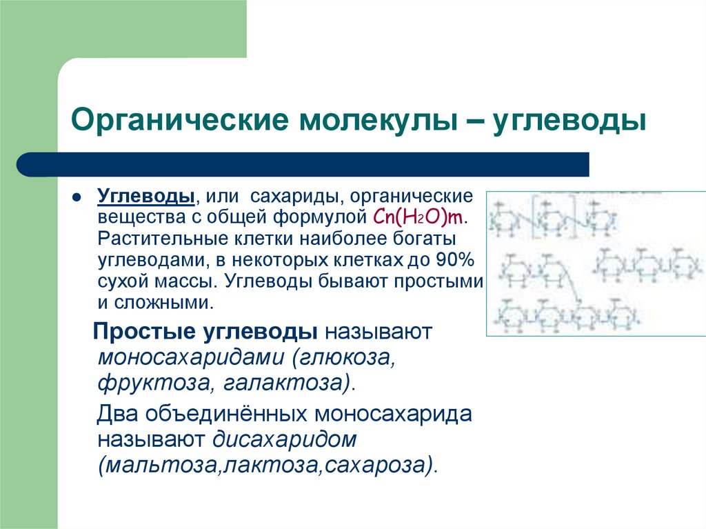 Окисление молекул органических веществ