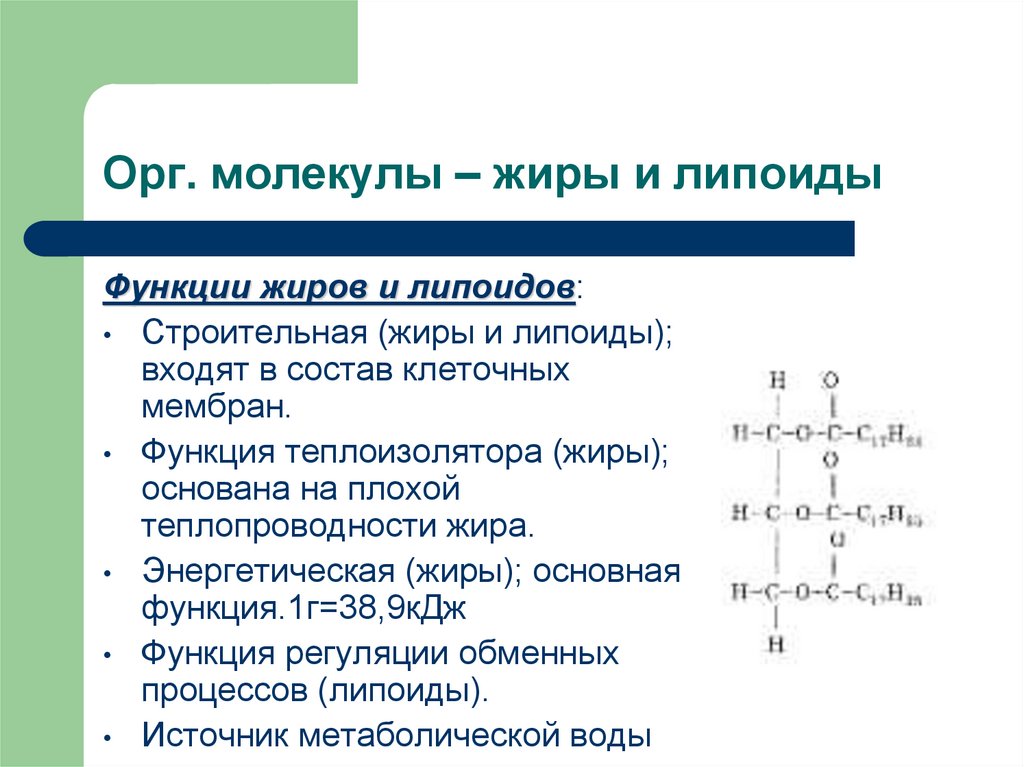 Схема образования молекулы жира