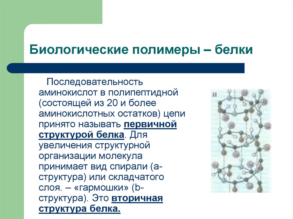 Назовите химическую связь обозначенную на рисунке голубым фоном для каких биополимеров характерны