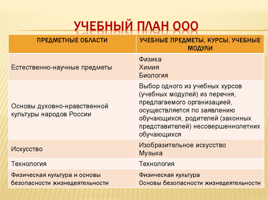 Учебный план ООО