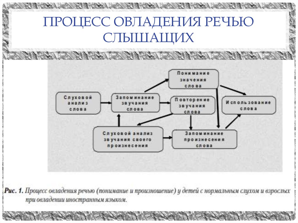 Процесс овладения речью