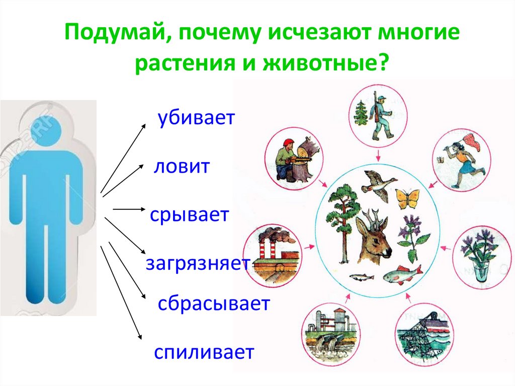 Подумай, почему исчезают многие растения и животные?