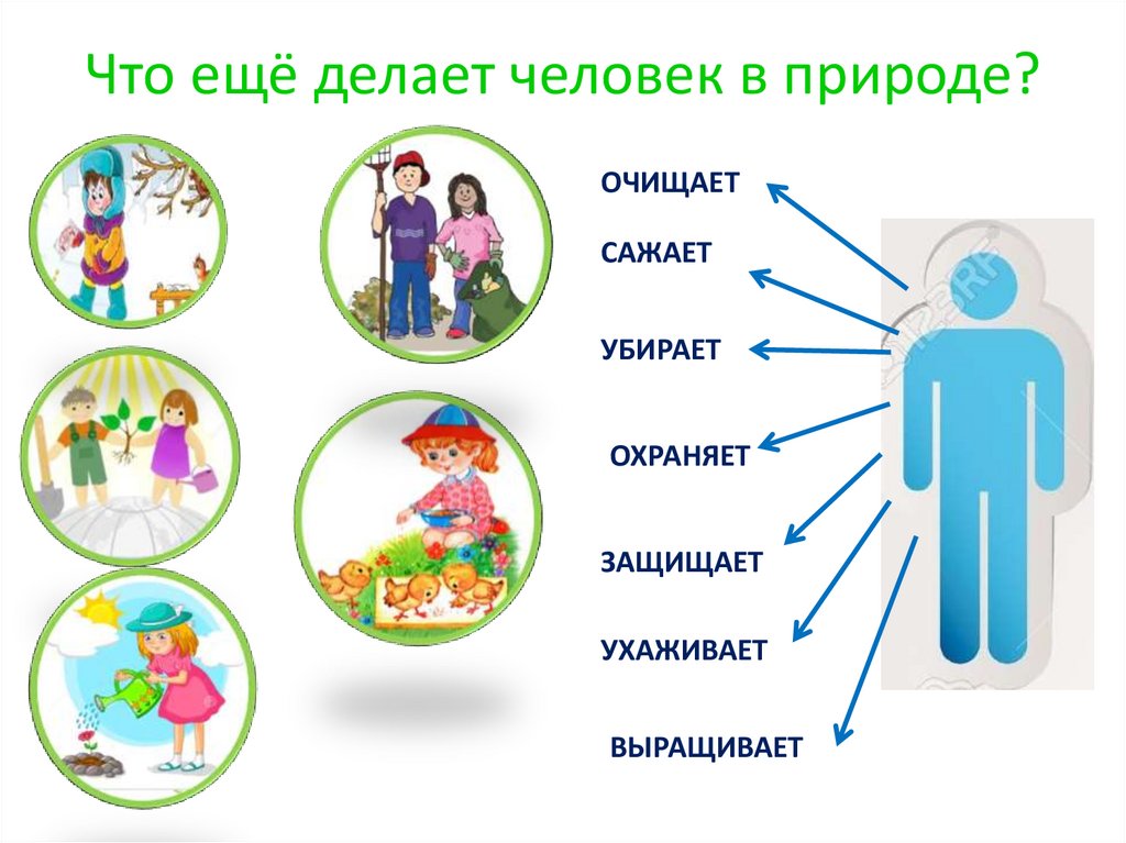 Что ещё делает человек в природе?