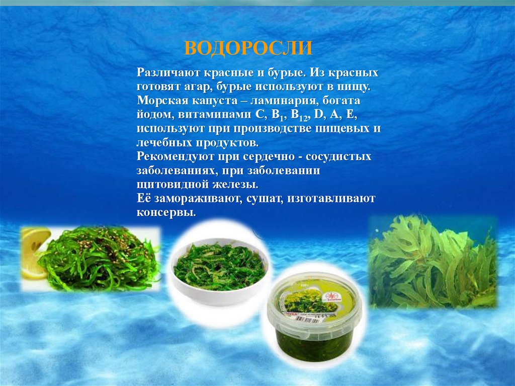 Морская капуста при похудении можно ли. Водоросли которые употребляют в пищу. Ламинария. Зеленые водоросли еда. Морепродукты водоросли.