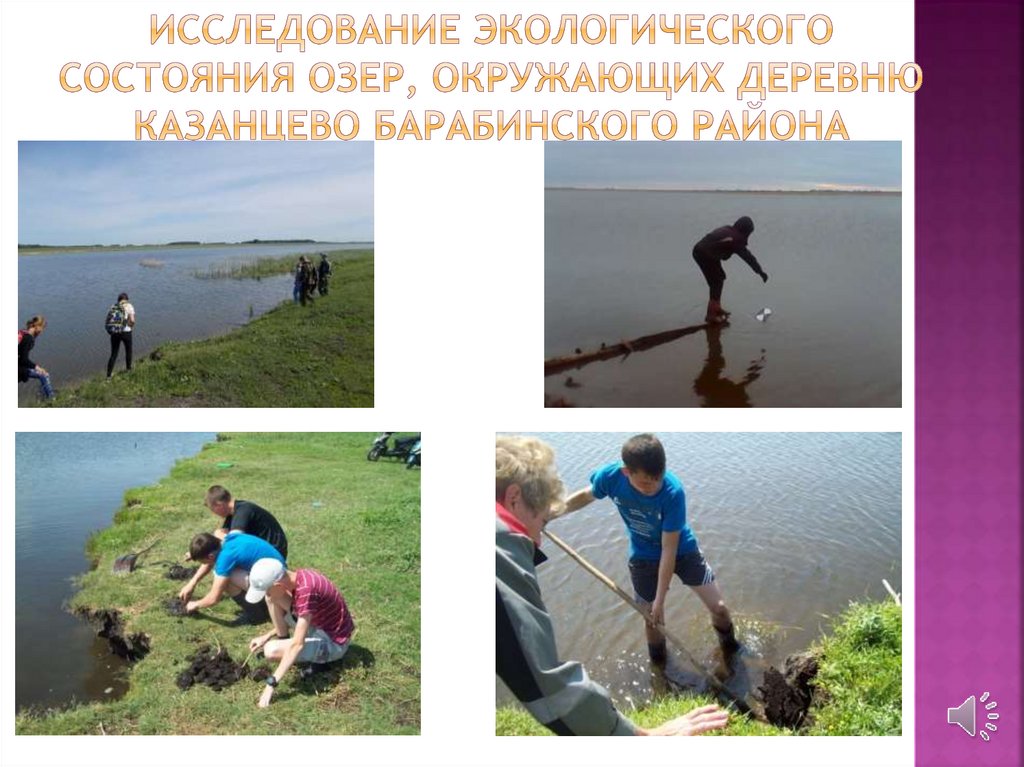 Исследование экологического состояния озер, окружающих деревню Казанцево Барабинского района
