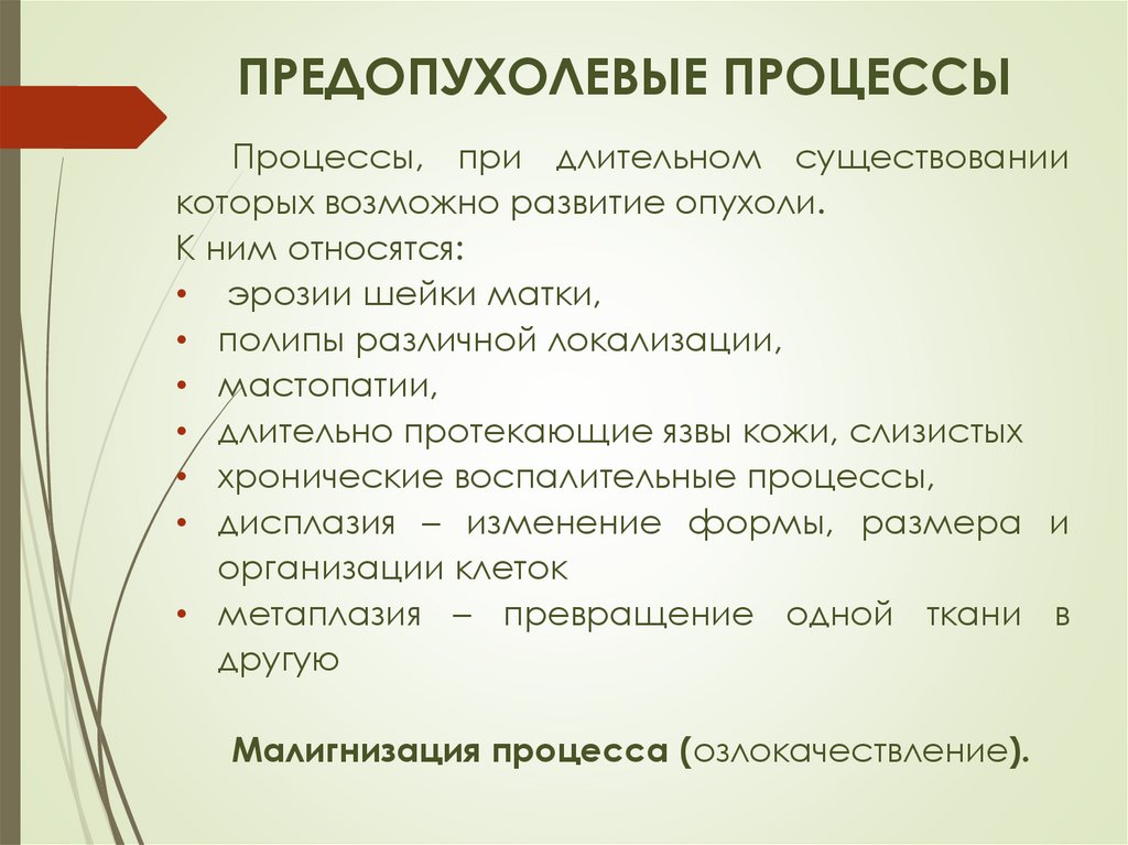 Предопухолевые процессы презентация