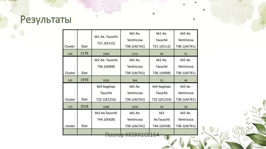 Результаты