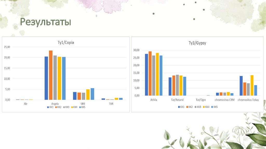 Результаты