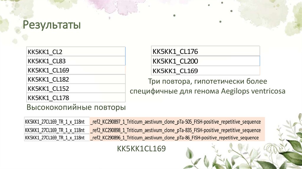 Результаты