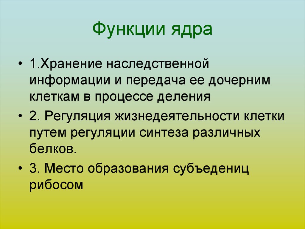 Каково значение ядрышко. Основные функции ядра.