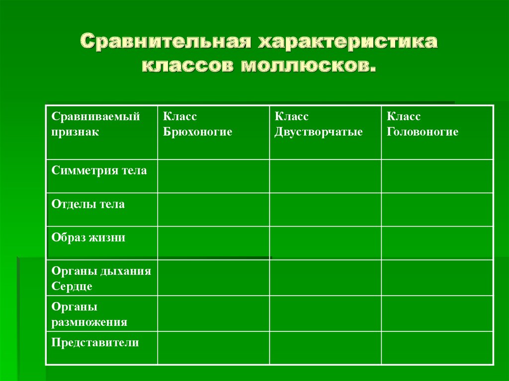 Характеристика классов моллюсков