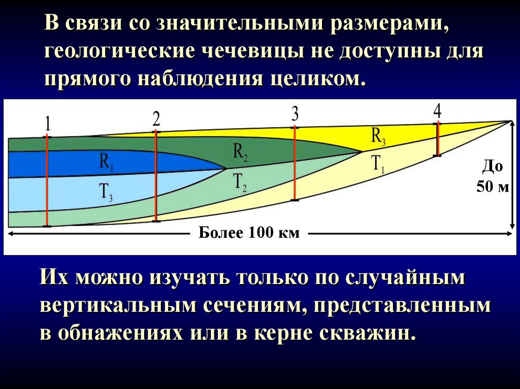 Вертикальное сечение